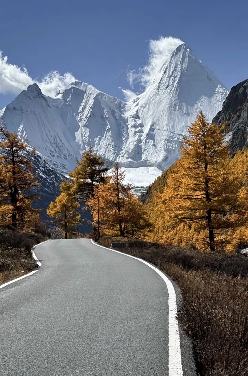 Snow peak and autumn larches at Daocheng Yading, western Sichuan