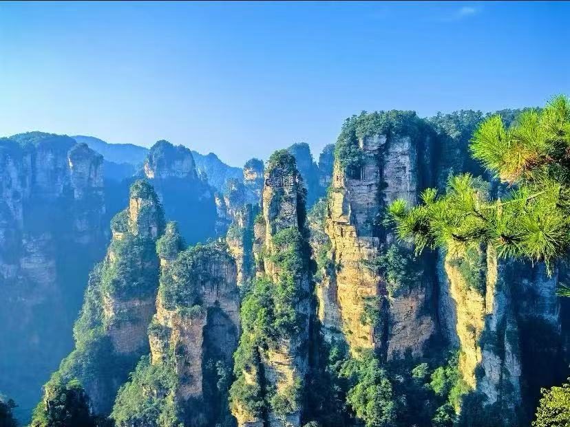 Sandstone pillar forest of Zhangjiajie under a clear blue sky
