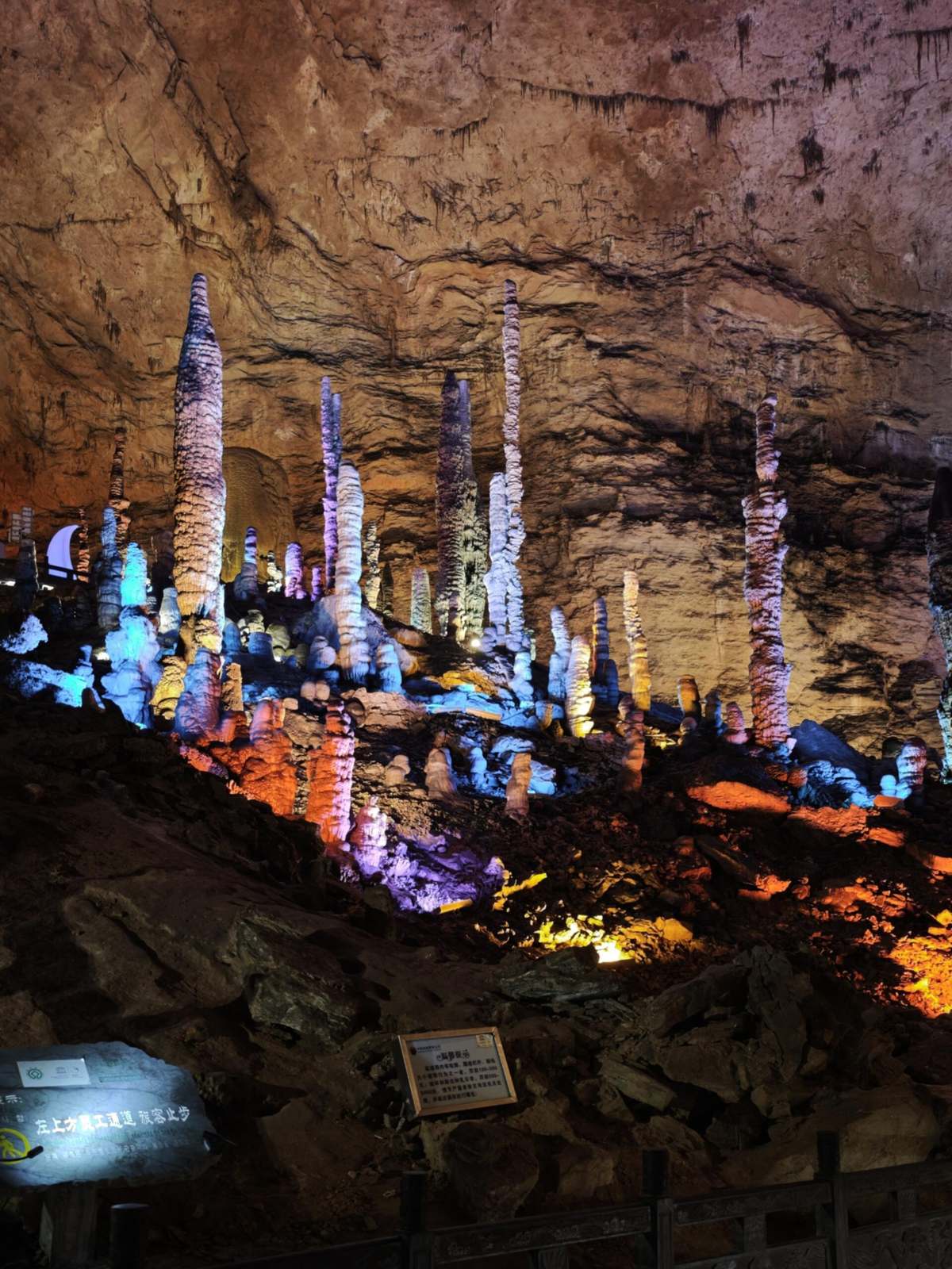 Tall thin stalagmites standing in a group inside Huanglong Cave, Zhangjiajie, lit in blue and orange
