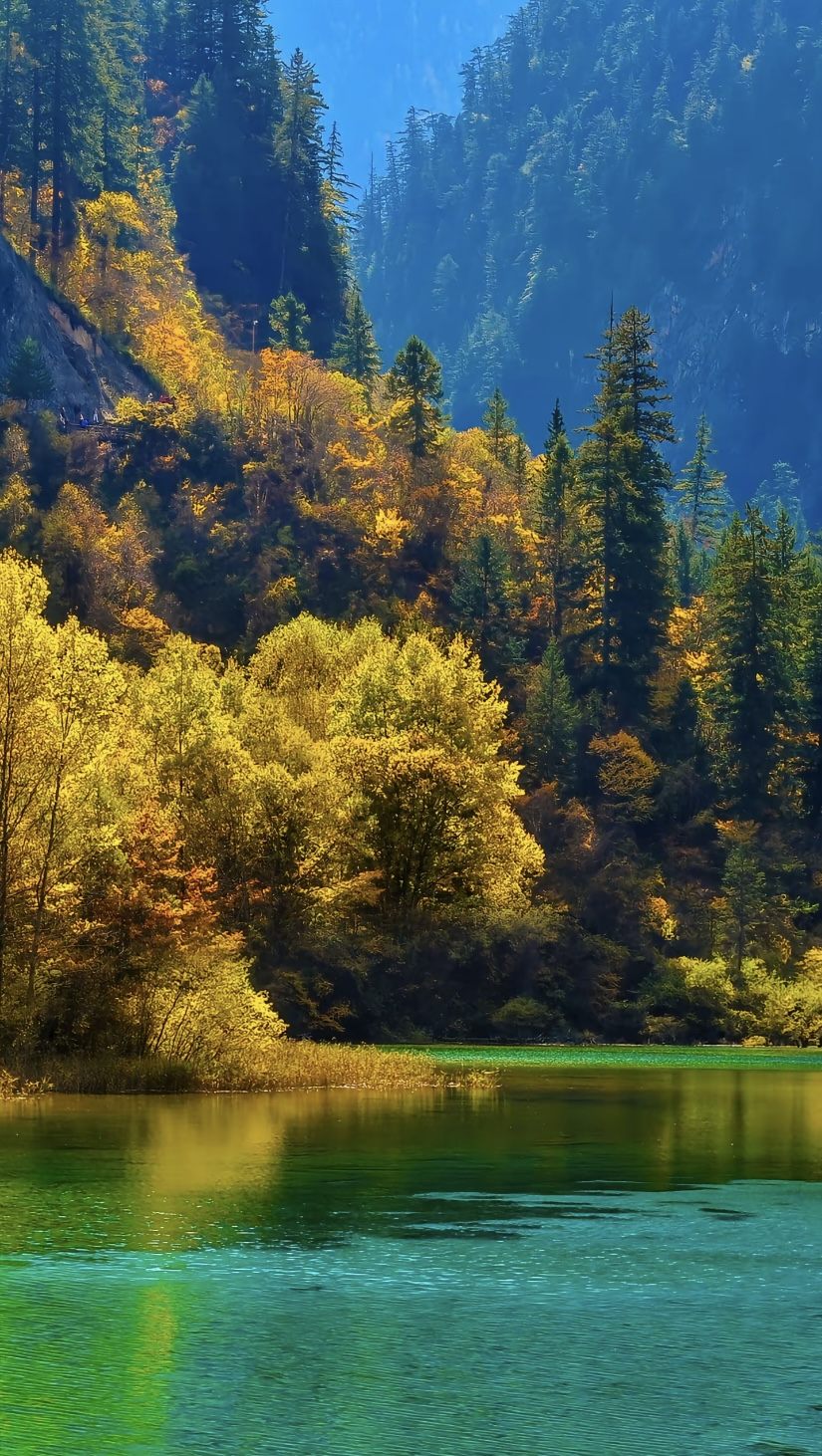 Autumn forest and lake scenery at Jiuzhaigou, a western China extension route from Chengdu
