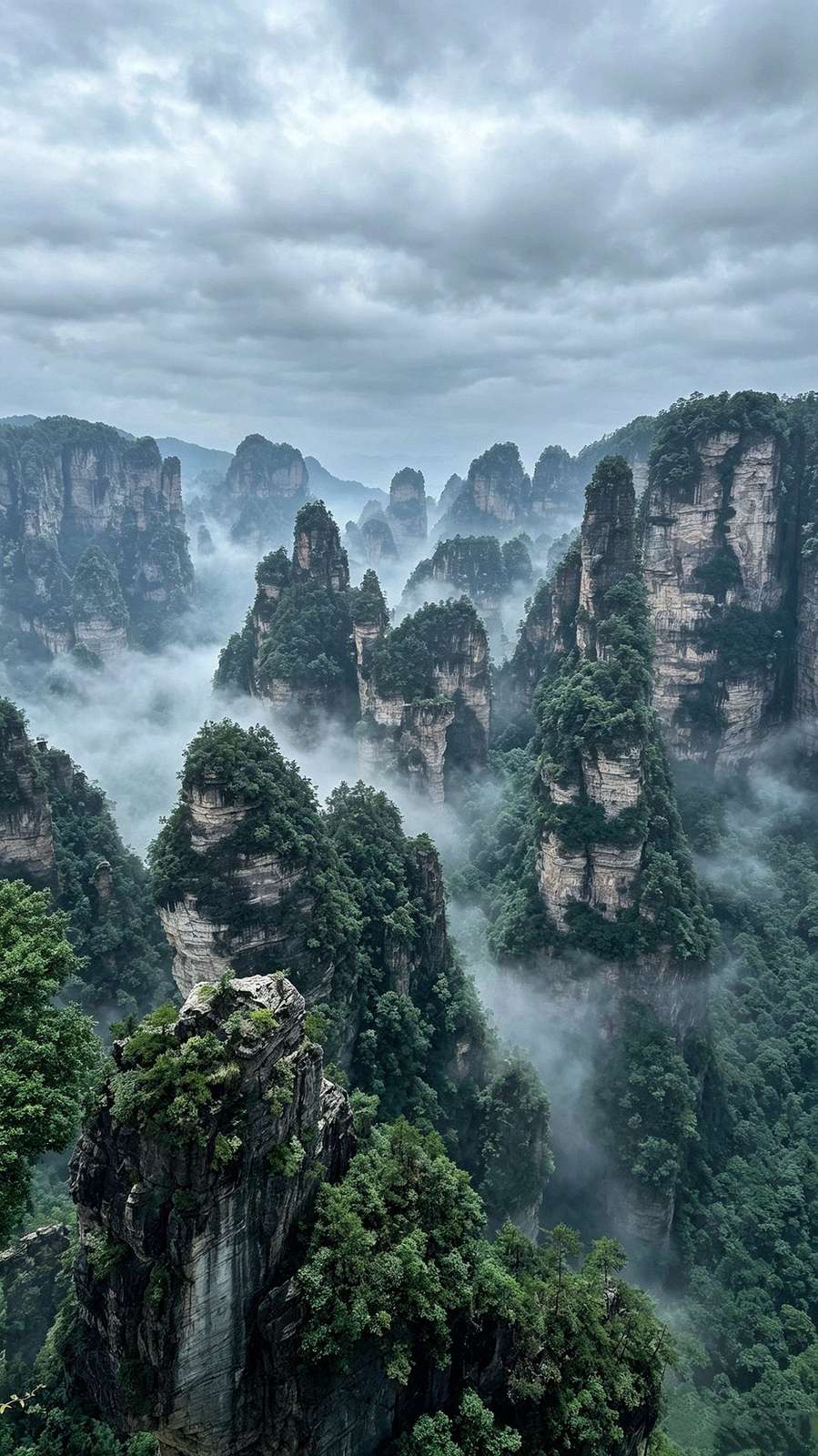Wulingyuan sandstone pillars rising through mist under an overcast sky, Zhangjiajie National Forest Park