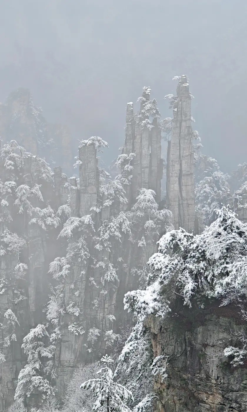 Snow-covered pillar forest in fog at Zhangjiajie National Forest Park in winter